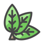 Fresh Leaves
